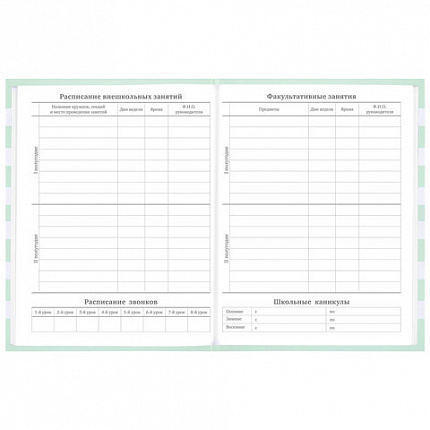 Дневник 1-11 класс 48 л., твердый, BRAUBERG, блестки, с подсказом, "Котик", 106606