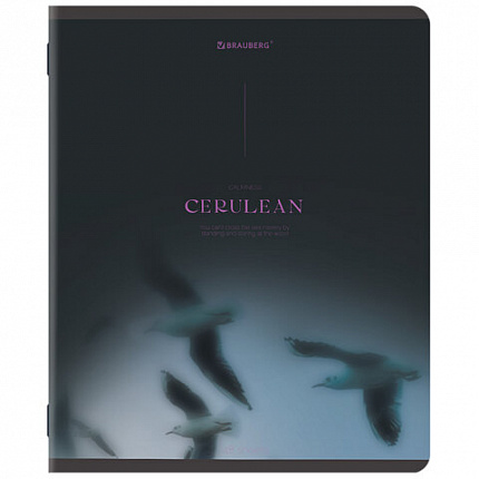 Тетрадь А5, 48 л., BRAUBERG, скоба, клетка, SoftTouch, "Peaceful", (микс в спайке), 405327