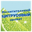 Освежитель/очиститель для унитаза/писсуара 3 шт., ТУАЛЕТНЫЙ УТЕНОК "Антиналет", стикер чистоты, 359000