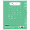Тетрадь 12 л. BRAUBERG ЭКО "5-КА", косая линия, обложка картон 170 г/м2, ЗЕЛЕНАЯ, 104762