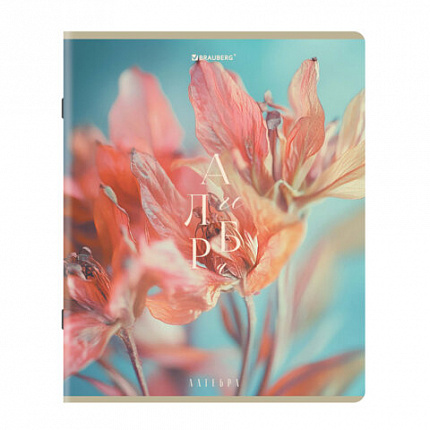 Тетради предметные, КОМПЛЕКТ 12 ПРЕДМЕТОВ 48л, пластиковая обложка, BRAUBERG "PURE NATURE", 405543