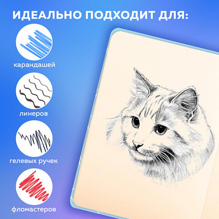 Скетчбук, слоновая кость 140 г/м2, 130х210 мм, 80 л., софт-тач, резинка, BRAUBERG ART CLASSIC, "Милый гусь", 116469