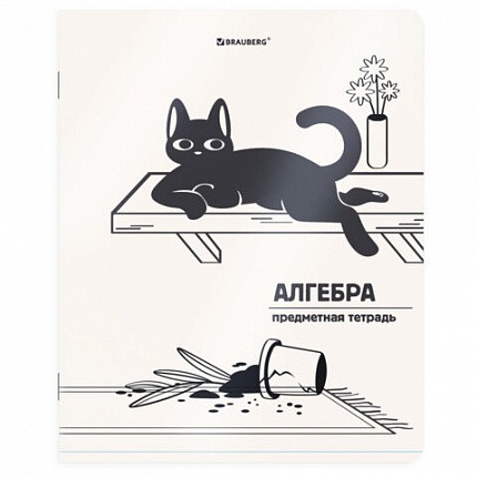 Тетради предметные, КОМПЛЕКТ 12 ПРЕДМЕТОВ 48л, пластиковая обложка, BRAUBERG "КОТ-НЕПОСЕДА", 405542