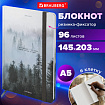 Блокнот с резинкой в клетку 96 л., А5 145х203 мм, твердая обложка, BRAUBERG, "Туман", 116315