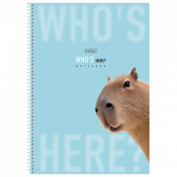 Тетрадь А4 96 л., HATBER, спираль, линия, матовая ламинация, "Кто здесь?" (микс в спайке), 093596, 96Т4лВ2сп