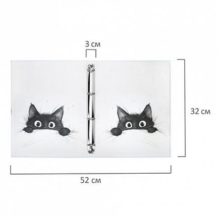 Папка-портфолио универсальная, 4 кольца, 20 файлов, 7БЦ матовая, BRAUBERG "Cat", 107557, 117557