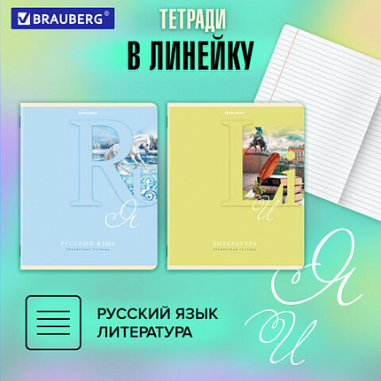 Тетради предметные, КОМПЛЕКТ 12 ПРЕДМЕТОВ, 48 листов, обложка картон, BRAUBERG, "ПАСТЕЛЬНАЯ", 404026