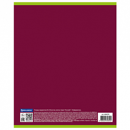 Тетрадь предметная "AVOCADO" 48 л., глянцевый лак, ИНФОРМАТИКА, клетка, BRAUBERG, 404279