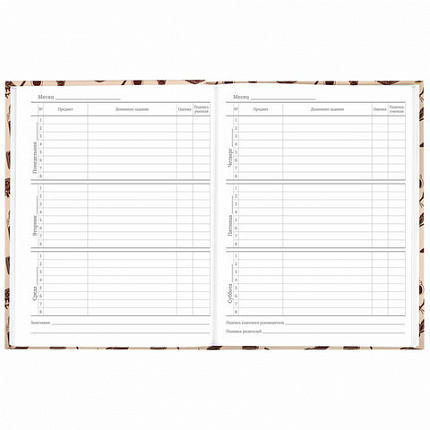 Дневник 5-11 класс 48 л., твердый, BRAUBERG, выборочный лак, с подсказом, "Магия", 106885