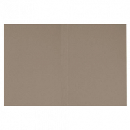 Папка без скоросшивателя "Дело", картон, плотность 320 г/м2, до 200 листов, ОФИСМАГ, 127818