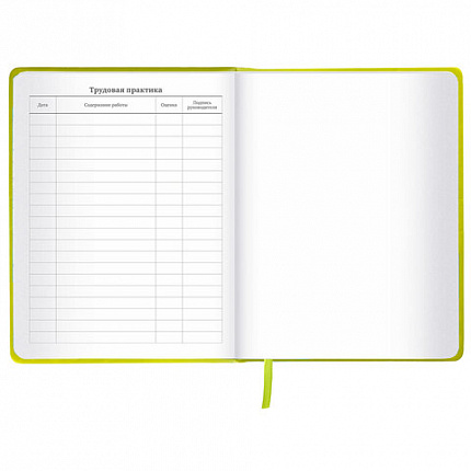 Дневник 1-11 класс 48 л., кожзам (твердая с поролоном), тиснение аппликация, BRAUBERG, "Super Avo", 106205