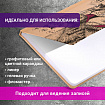 Скетчбук, белая бумага 160 г/м, 145х203 мм, 64 л., резинка, твердый, BRAUBERG ART CLASSIC "Это Кот", 114589