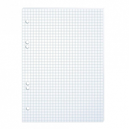 Сменный блок к тетради на кольцах, А5, 80 л., HATBER, "Белый", 011909, 80СБ5B1_02449