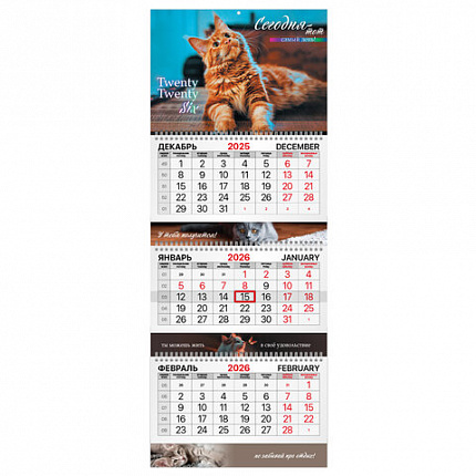 Календарь квартальный 2026 г., 3 блока, 3 гребня, бегунок, мелованная бумага, BRAUBERG EXTRA, "Котик", 116824