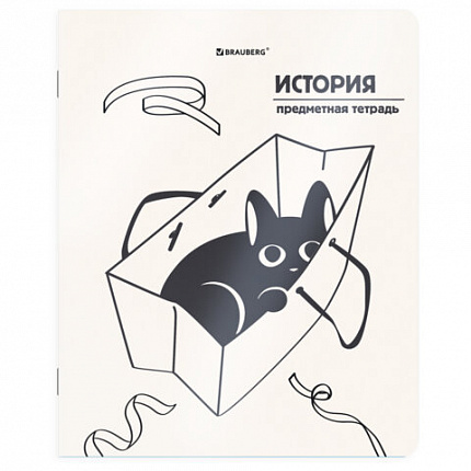 Тетрадь предметная КОТ-НЕПОСЕДА 48 л., пластиковая обложка, ИСТОРИЯ, клетка, подсказ, BRAUBERG, 405534