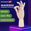 Манекен художественный "РУКА" левая, высота 18 см, дерево, BRAUBERG ART CLASSIC, 192516
