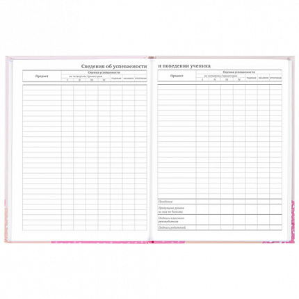 Дневник 5-11 класс 48 л., твердый, BRAUBERG, глянцевая ламинация, с подсказом, "Летний", 106631