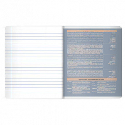 Тетрадь предметная MonoPastel 48л, пластиковая обложка, ЛИТЕРАТУРА, линия, подсказ, BRAUBERG, 405509