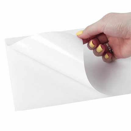 Этикетка самоклеящаяся УДАЛЯЕМАЯ 210х297 мм, 1 этикетка, белая, 70 г/м2, 25 листов, TANEX, сырье Финляндия, 114546, TW-2000