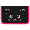 Пенал ПИФАГОР, 1 отделение, ламинированный картон, 19х11 см, "Dark kitten", 273467