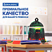Мешок для обуви BRAUBERG, с петлей, светоотражающая полоса, 2 отделения, 46х36 см, "Ночной воин", 272396