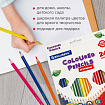 Карандаши цветные BRAUBERG PREMIUM, 24 цвета, шестигранные, грифель 3,3 мм, натуральное дерево, 181658