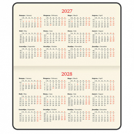 Еженедельник датированный 2027 МАЛЫЙ ФОРМАТ 105х160мм А6 BRAUBERG Unique, черный, 118166