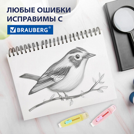 Ластики выдвижные с кистью 2 в 1 BRAUBERG "Slider Duo", НАБОР 4 ШТУКИ, 85х21х15 мм, пастельные цвета ассорти, блистер, 271993