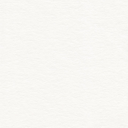 Бумага для акварели А4, 10 л., 200 г/м2, 210х297 мм, BRAUBERG, "Южное побережье", 125225