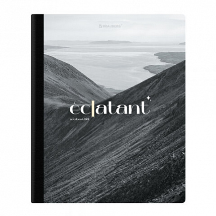 Тетрадь А5 96л. BRAUBERG на сшивке с корешком, клетка, обложка картон, Simplicity, 405288