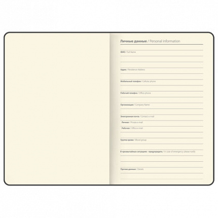 Блокнот B6 130x184мм BRAUBERG "Stellar", под кожу, 80 листов, фольга, резинка, клетка, черный, 118652