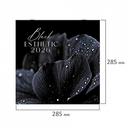 Календарь настенный перекидной 2026г, BRAUBERG, 12 листов, 28,5х28,5см, Black esthetic, 116927