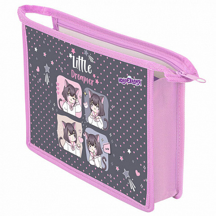 Папка для тетрадей ЮНЛАНДИЯ А4, 1 отделение, пластик, на молнии, "Anime dreamer", 273349