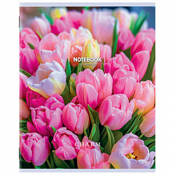 Тетрадь А5 48 л. STAFF "College", скоба, клетка, офсет №2 ЭКОНОМ, обложка картон, "ПРИРОДА", 405626