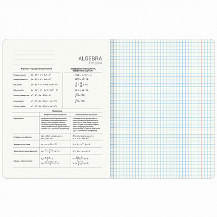 Тетради предметные, КОМПЛЕКТ 12 ПРЕДМЕТОВ, 48 л., TWIN лак, BRAUBERG "МЕМЫ", 405172