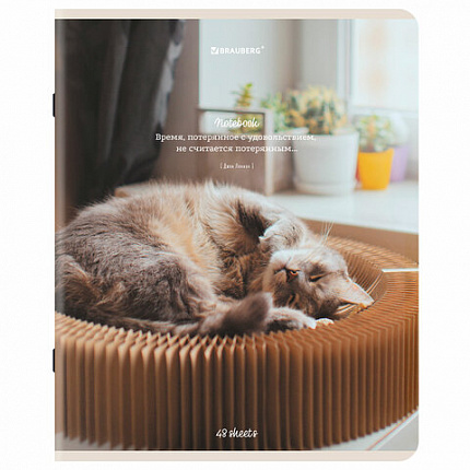 Тетрадь А5, 48 л., BRAUBERG, скоба, клетка, матовая ламинация, "Cats", (микс в спайке), 405334