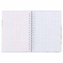 Блокнот МАЛЫЙ ФОРМАТ А6, 80 л., гребень, твердый картон, клетка 2 цв., HATBER, "Чарующая нежность", 082843, 80ЗКтд6В1гр_30