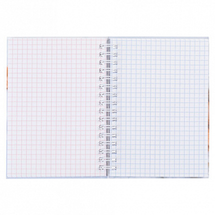 Блокнот МАЛЫЙ ФОРМАТ А6, 80 л., гребень, твердый картон, клетка 2 цв., HATBER, "Чарующая нежность", 082843, 80ЗКтд6В1гр_30