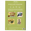 Папка для акварели А4, 10 л., 200 г/м2, 210х297 мм, BRAUBERG АКАДЕМИЯ, "Апельсины", 117743