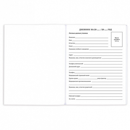 Дневник 1-11 класс 40 л., на скобе, ПИФАГОР, обложка картон, "Девочка", 106583