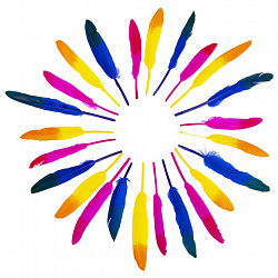 Перья декоративные прямые, 10-15 см, 24 шт., 6 цветов, двухцветные, ассорти, ОСТРОВ СОКРОВИЩ, 661381