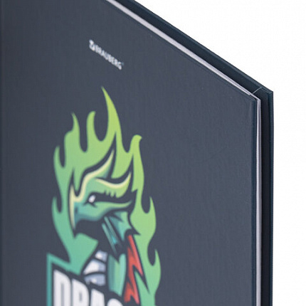 Дневник 1-11 класс 40 л., твердый, BRAUBERG, матовая ламинация, "Dragon", 107178