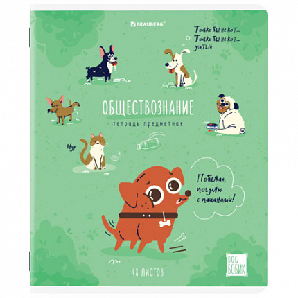 Тетради предметные, КОМПЛЕКТ 12 ПРЕДМЕТОВ, 48 л., TWIN-лак, BRAUBERG, "DOG БОБИК", 404840