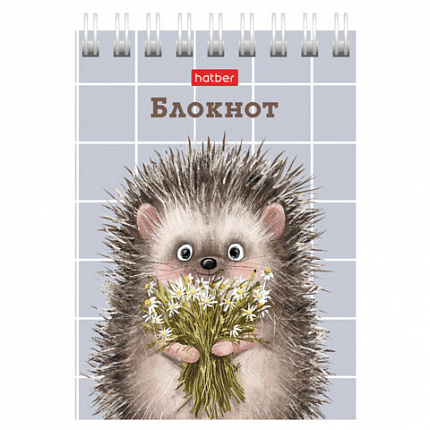 Блокнот МАЛЫЙ ФОРМАТ А7, 40 л., гребень, картон, клетка, HATBER, "Хорошо быть ёжиком", 081183, 40Б7В1гр