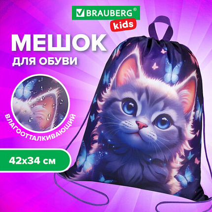 Мешок для обуви BRAUBERG KIDS, с петлей, 42х34 см, "Любознательный кот", 273434