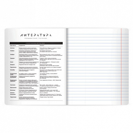 Тетрадь предметная BLACK MODE 48л, пластиковая обложка, ЛИТЕРАТУРА, линия, подсказ, BRAUBERG, 405522