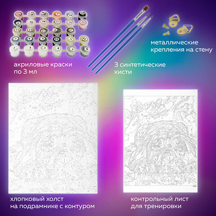 Картина по номерам 40х50 см, ОСТРОВ СОКРОВИЩ "Мечтай!", на подрамнике, акрил, кисти, 662904