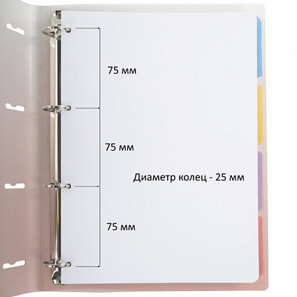 Тетрадь на кольцах БОЛЬШАЯ 305х235 мм А4, 120 л., пластик, с разделителями, BRAUBERG, Красный, 404626