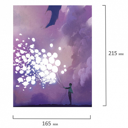 Тетрадь на кольцах А5 (165х215 мм), 160 листов, твердый картон, клетка, BRAUBERG, Мечты, 404092