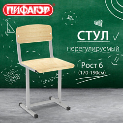 Стул ученический, нерегулируемый ПИФАГОР SC-1, 380х380х790 мм, рост 6 (170-190 см), серый каркас, фанера, 533348